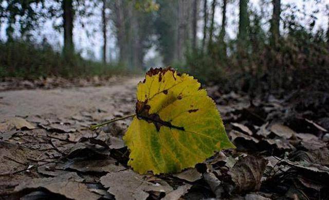 渐渐地,都老了,慢慢地,都走了_那一天_亲人_时候