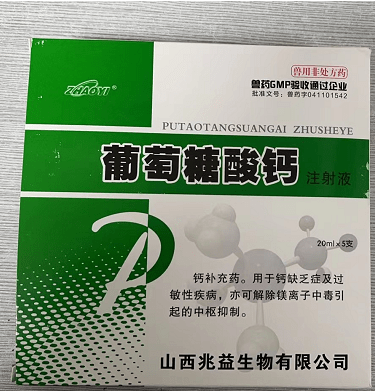 母猪产后各种不食,这么做轻松搞定!