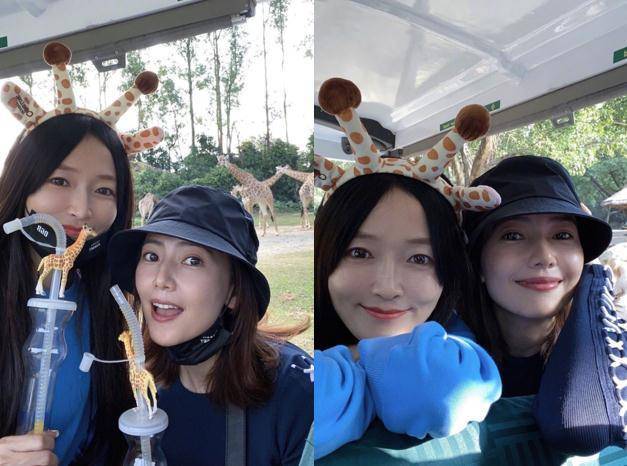 高圆圆与好友打卡"长颈鹿园"!