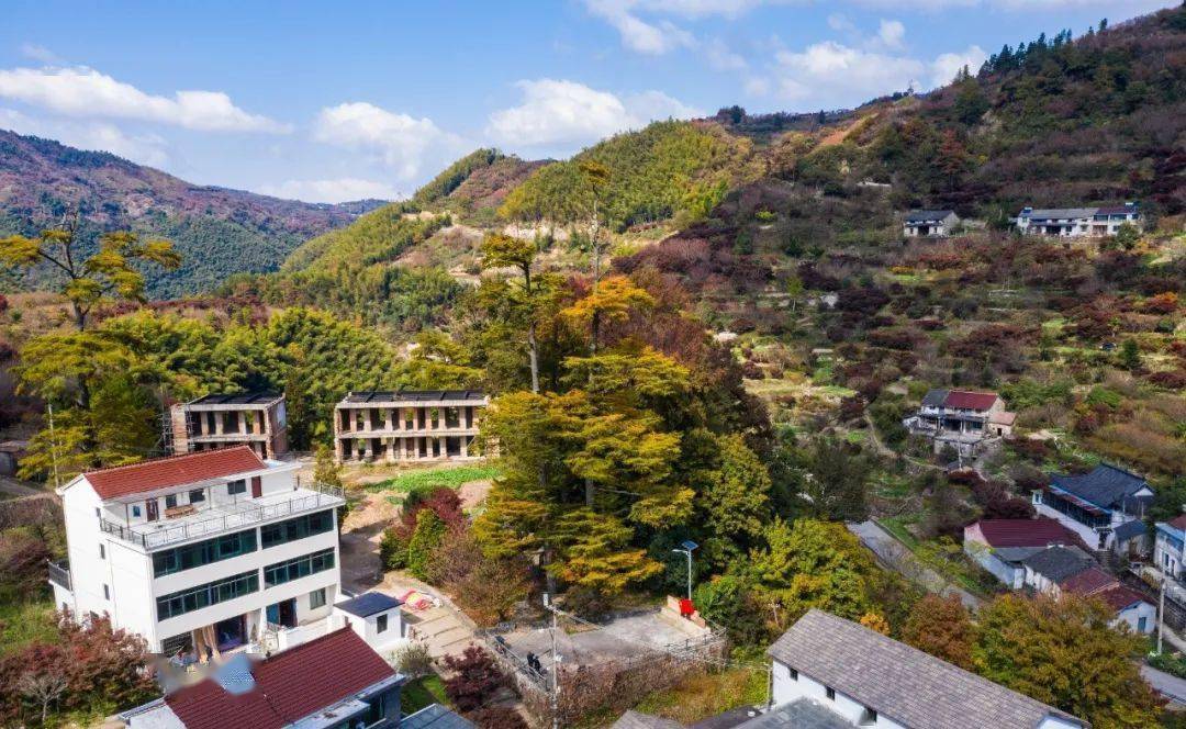 乡村振兴,请为我们的好朋友"棠溪村"投一票_四明山镇_余姚_相公