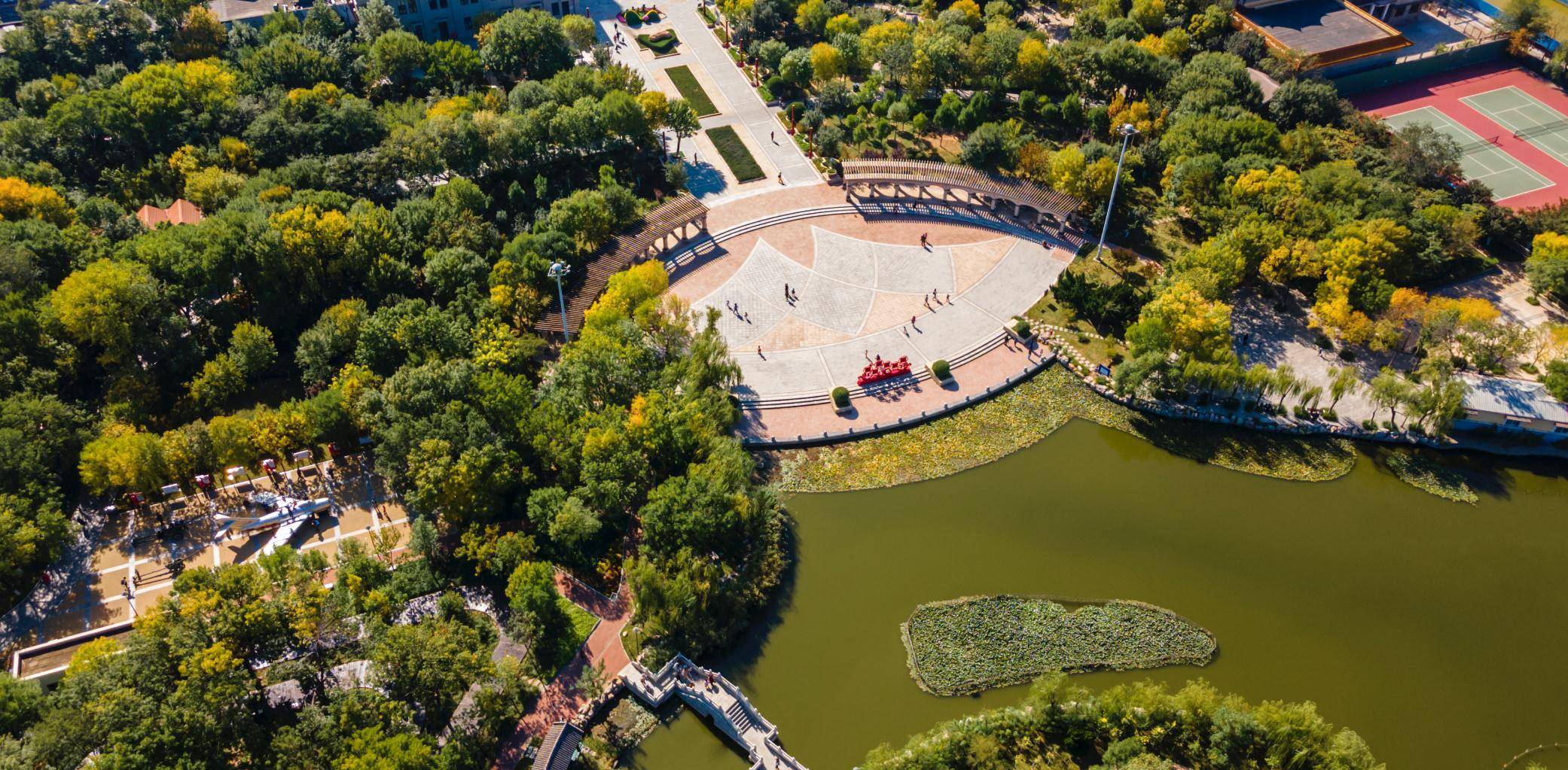 天津大港公园,孩子能玩一天,大人能坐一天的家门口的森林公园_摄影