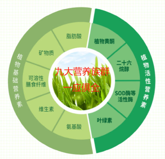10w 销量的秘密,宫延楼麦绿素具备高质量功效与先进专利技术_人体
