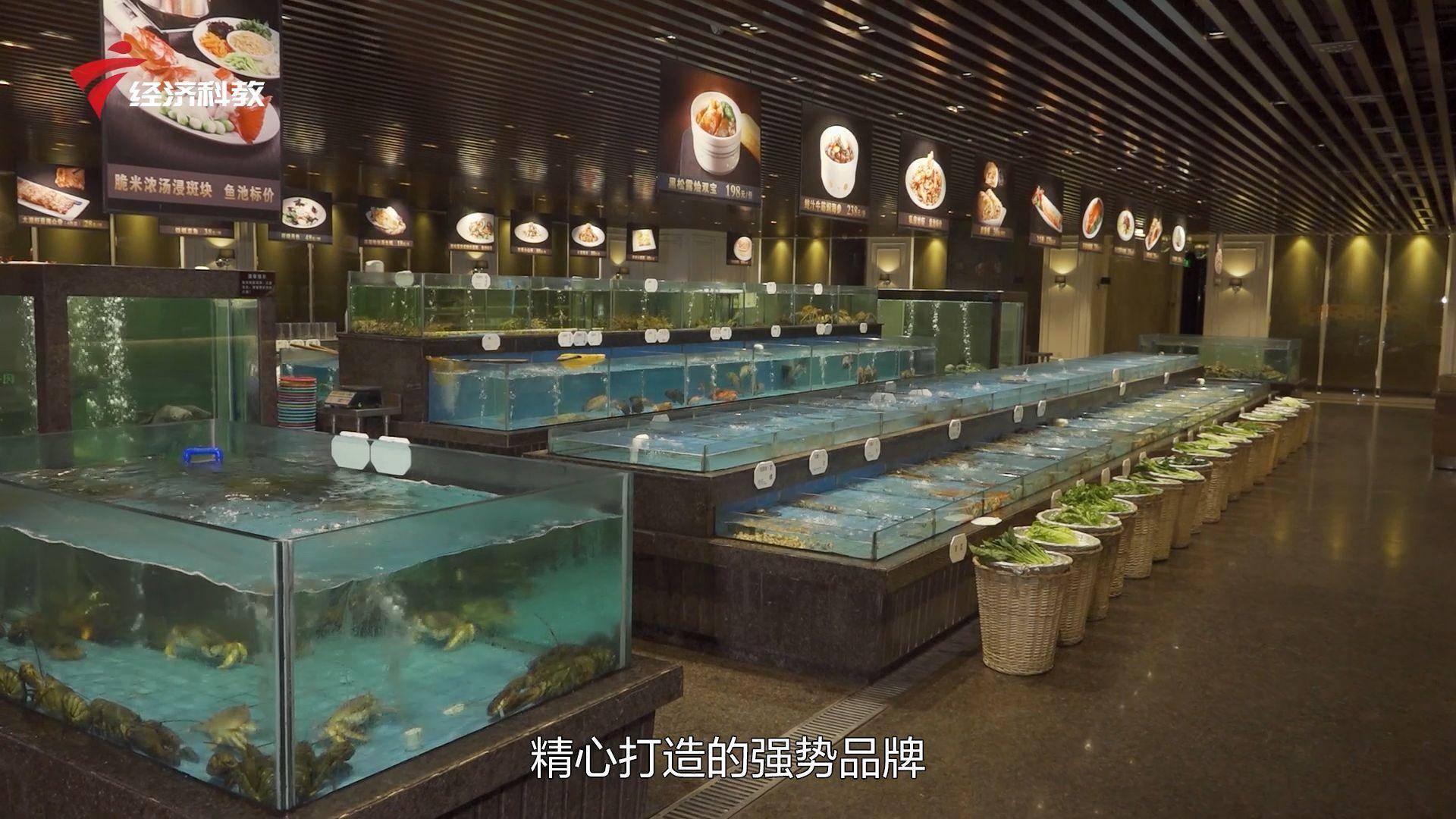 广东新焦点发布广东电视台播出——海港大酒楼小榄店_响誉_全国_广帆