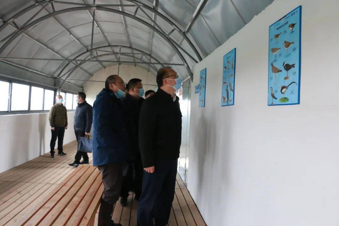 市林业局党组书记,局长王河,余干县委书记胡斌,市林业局党组成员,副