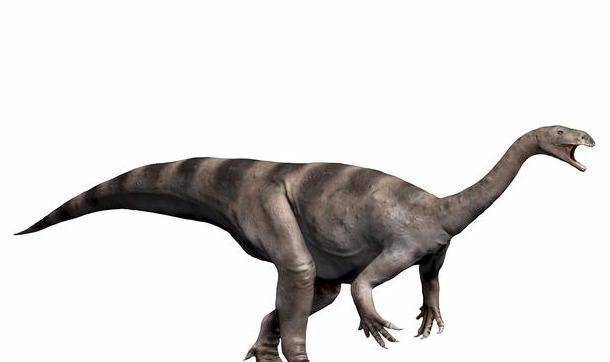 地球上第一批素食恐龙居民—原蜥脚下目恐龙_蜥脚类_牙齿_食草动物