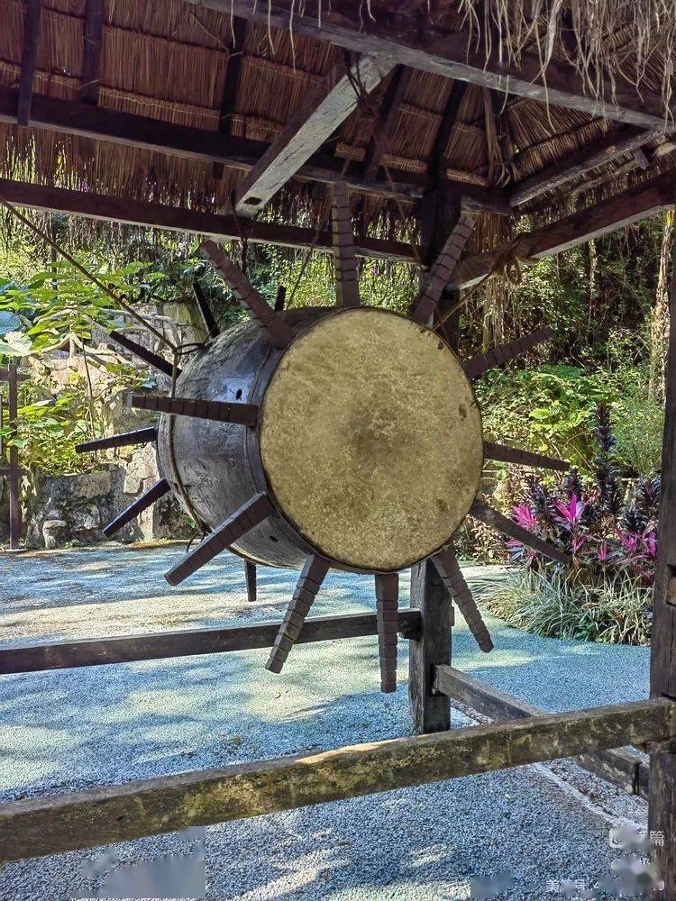 基诺族中的"太阳鼓"不能随意敲打.玛黑和玛妞是基诺人的祖先.