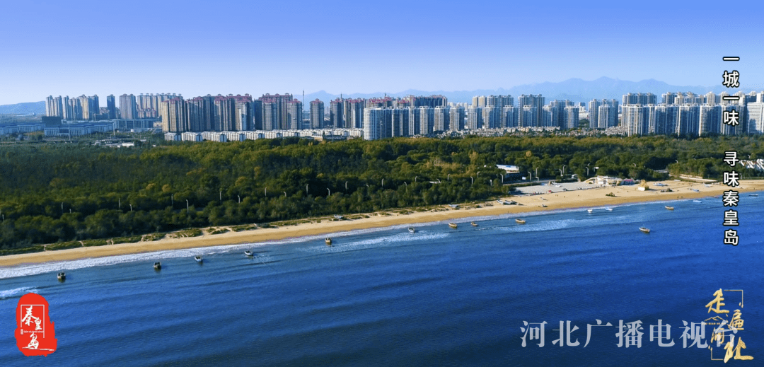 从这些美食开始，爱上秦皇岛_海阳镇_山海_历史