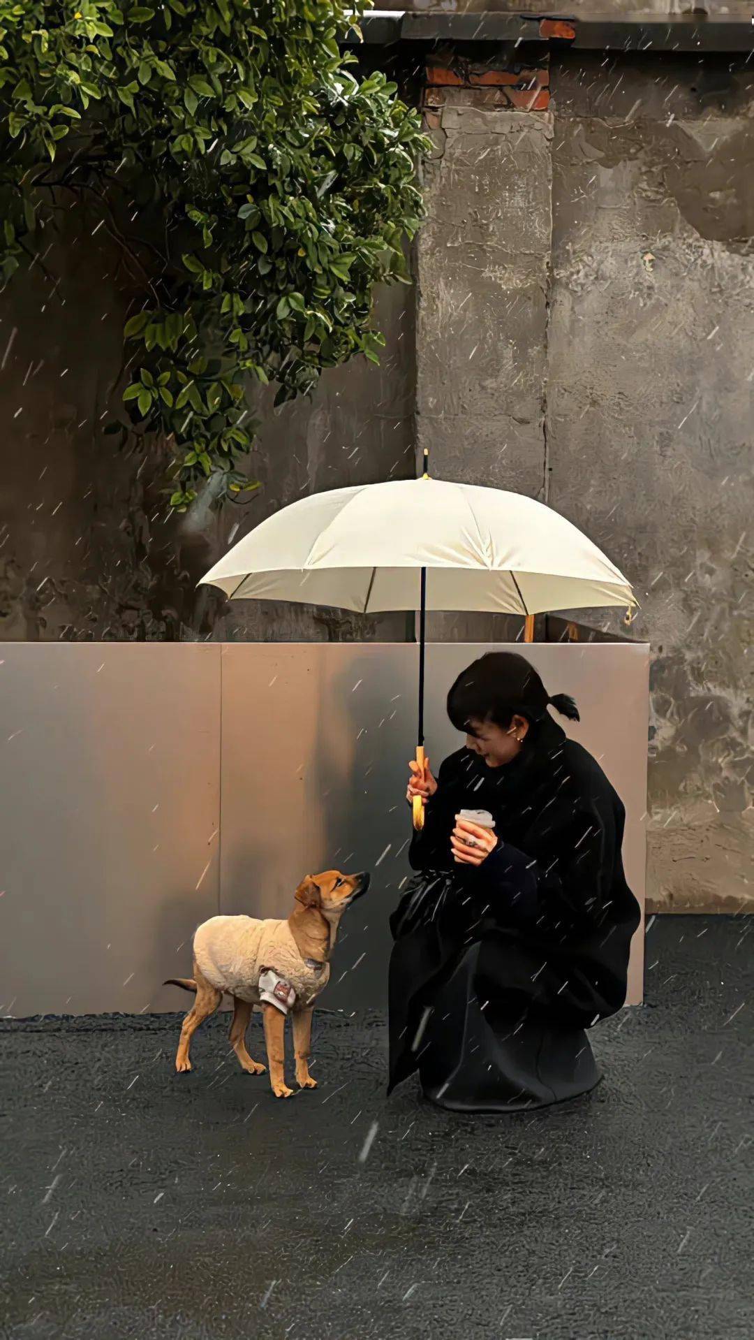 ins风极简手机壁纸