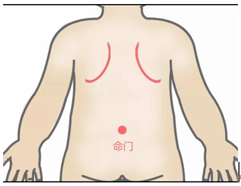 揉命门正确手法图图片