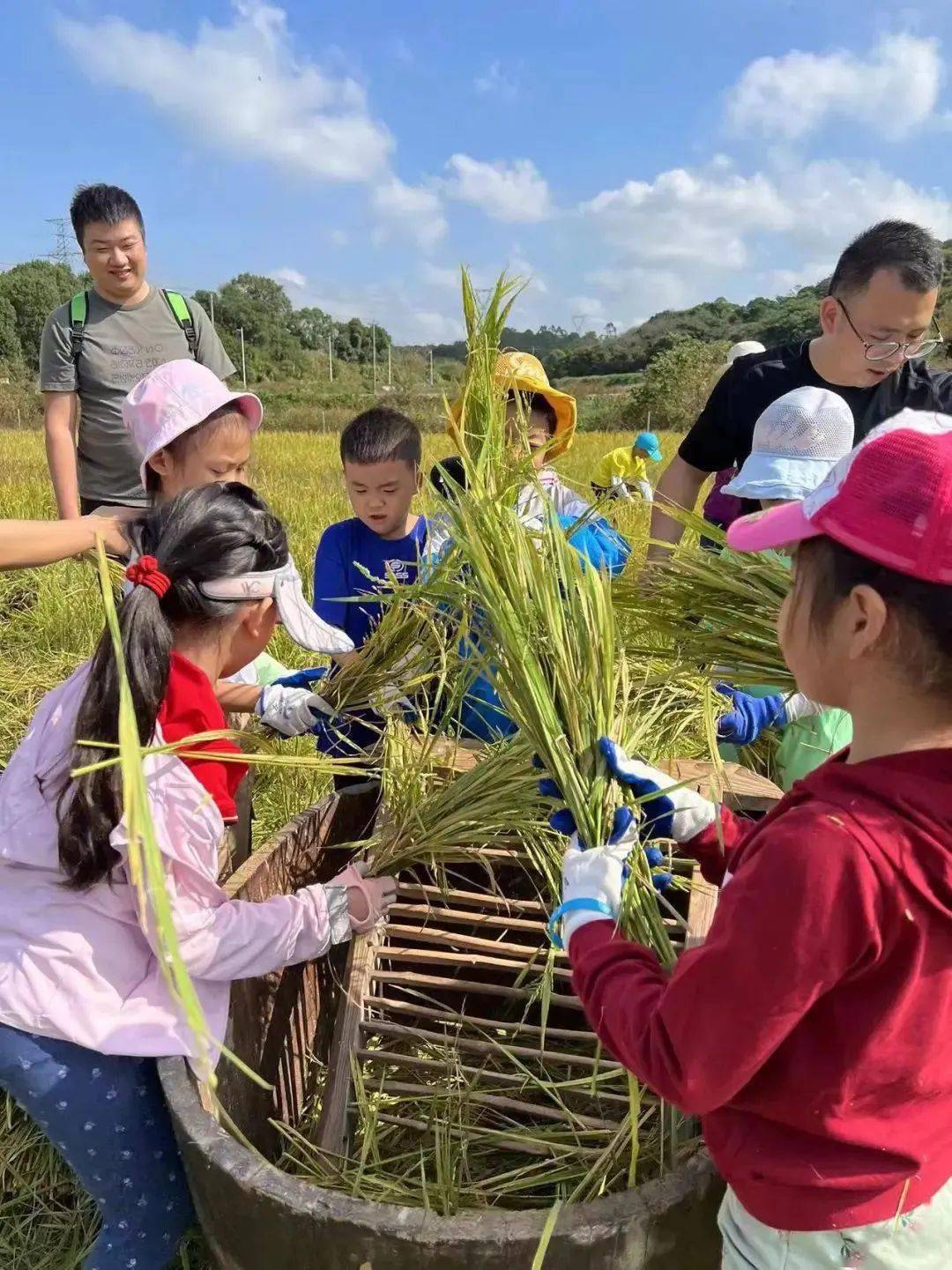 翔安区大帽山农场喜提"气候康养福地"新称号→_厦门市_旅游_水库