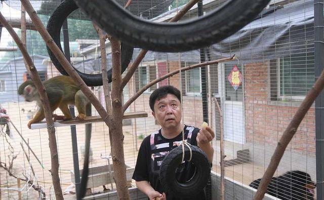 于谦公司被工商列入异常,粉丝挺着急,专业人士说有办法解决_养殖_动物