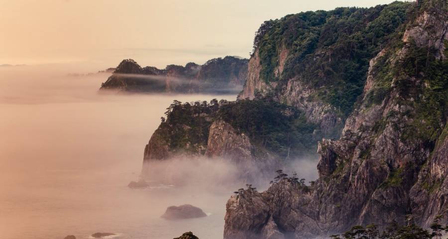 家电双12受冷落，COLMO容声美菱奥克斯小米出新招，美的海信破局-家电圈官网