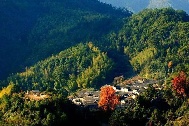 丽水私藏小众美村,景美人少空气好_西溪村_溪流_历史