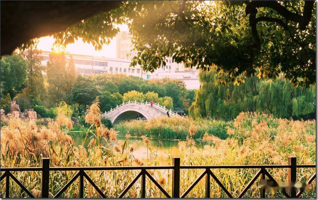 洗耳池公园张山古泉古树群巢湖龟山初冬暮色来源:巢湖指尖获取更多