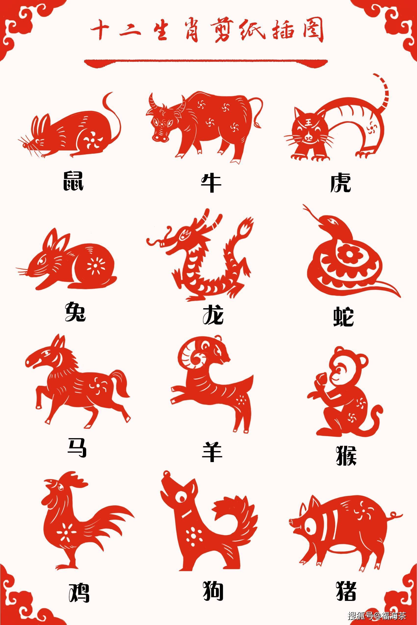 卯兔·生肖中的兔文化_福海_易武_寓意