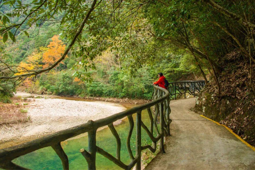 龙湾潭除了绝美飞瀑,还有跨度600米的魔鬼秋千,你敢去挑战吗_景区