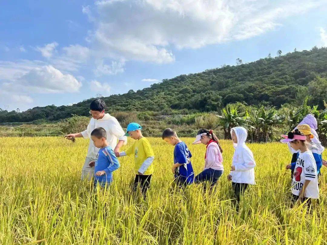 翔安区大帽山农场喜提"气候康养福地"新称号→_厦门市_旅游_水库