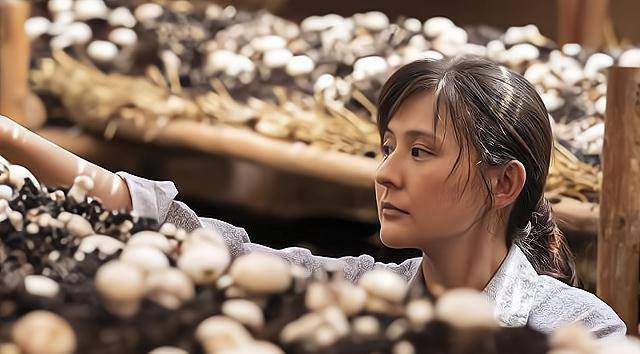 《山海情》李水花:一个感动千万人的农村妇女,凭借6点逆袭人生_日子