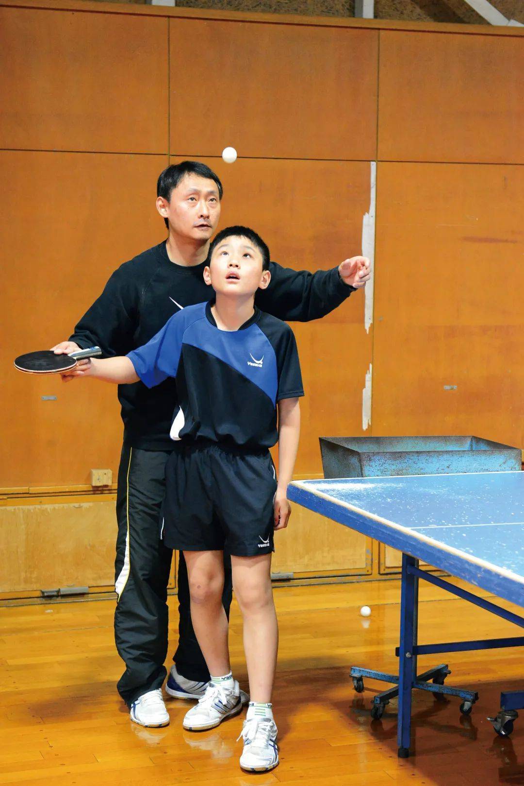 父母眼中的张本智和:他是为乒乓球而生_训练_日本_张凌和