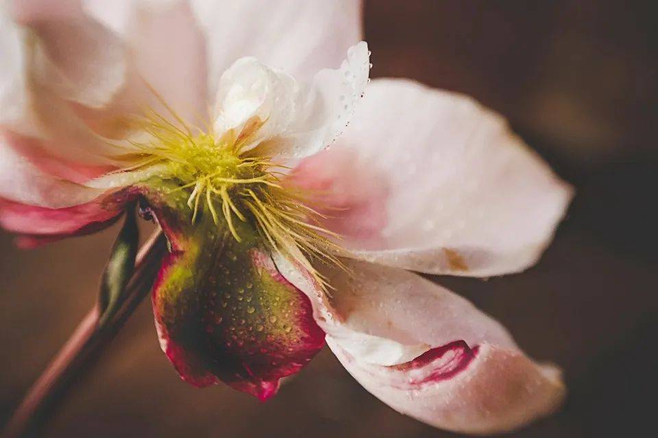 世界杯效应带动大屏电视热销，海信三星谁是大赢家？-家电圈官网