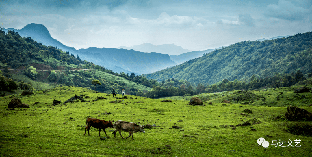 马边大王山——仙境般的小众秘境,心动指数百分百_牛羊_乐山_石林