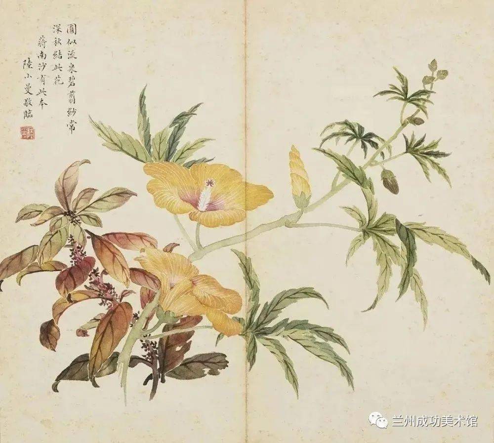诗画阅微】​陆小曼的没骨画_书画_上海_宣传