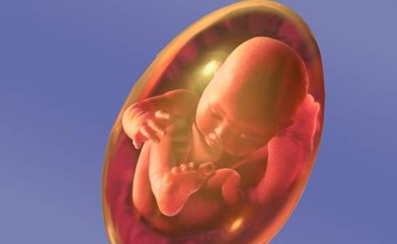 孕期最后1个月,胎儿还能长多少?孕妇不妨了解一下_女士_体重_身长