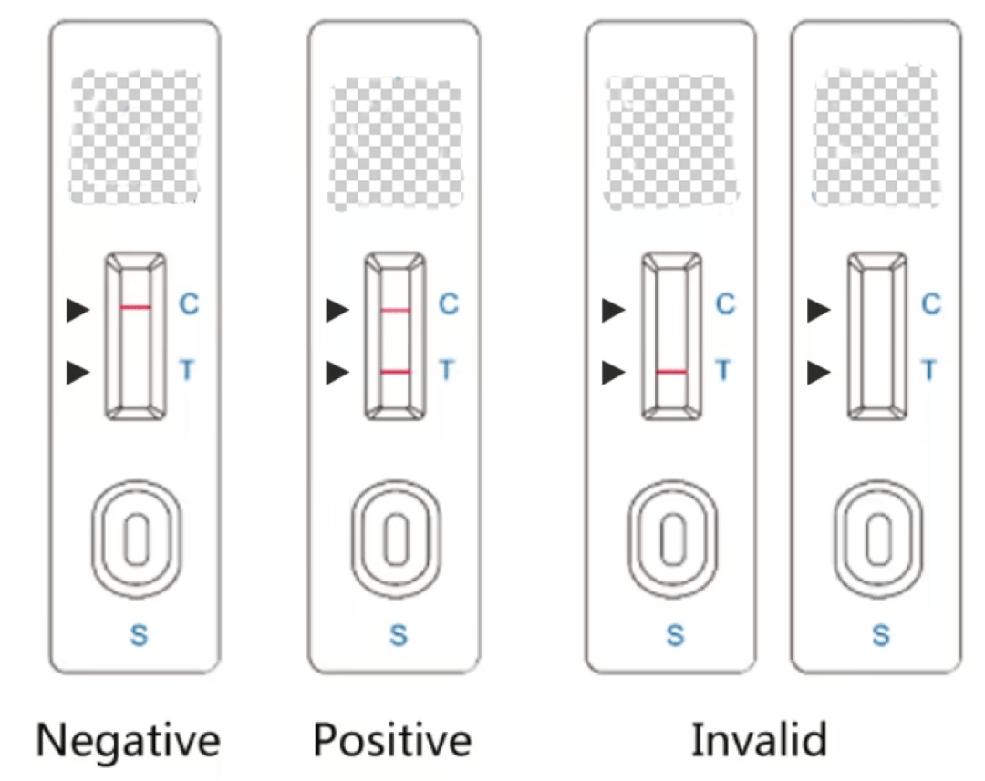 新冠抗原试剂盒上的C、T和S 别离是什么意思？