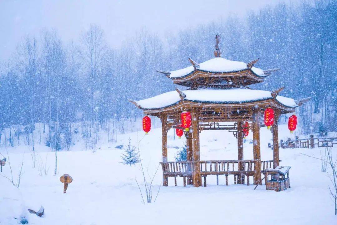【青吟诗话】试数窗间九九图 余寒消尽暖回初丨冬至数九读书_白居易_中国_太阳