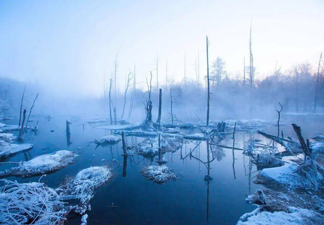 片片白雪飘落在长白山,梦幻又唯美_火山_温泉_世界