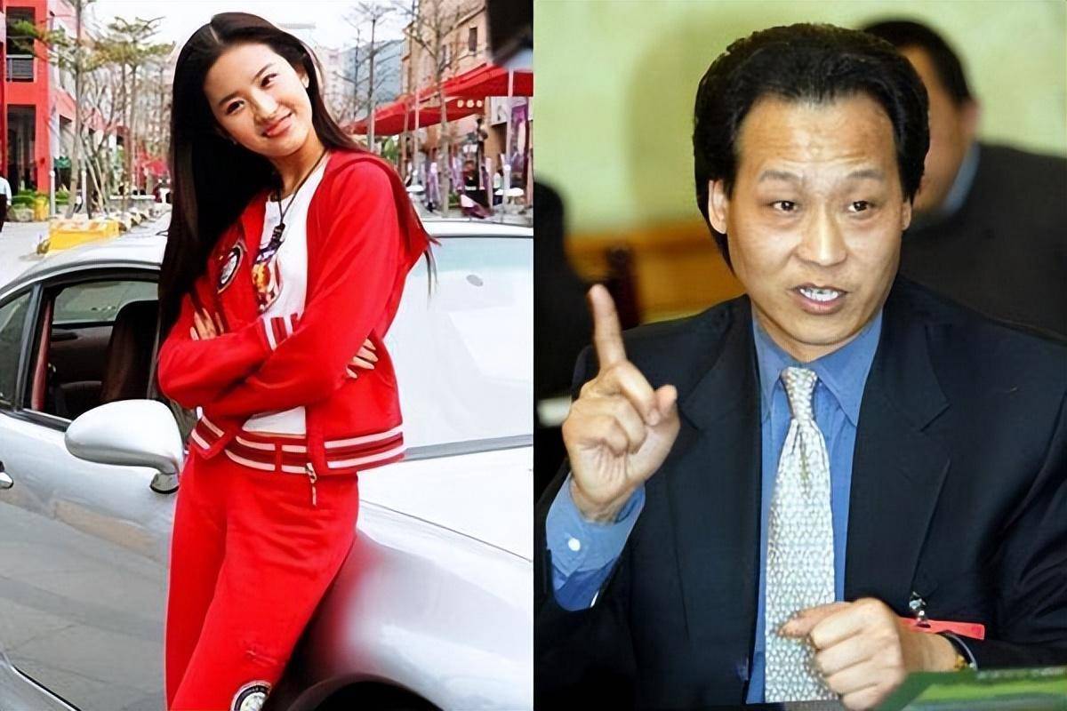 掌掴副导演不后悔,堪称刘亦菲最大靠山_安少康_女儿_陈金飞