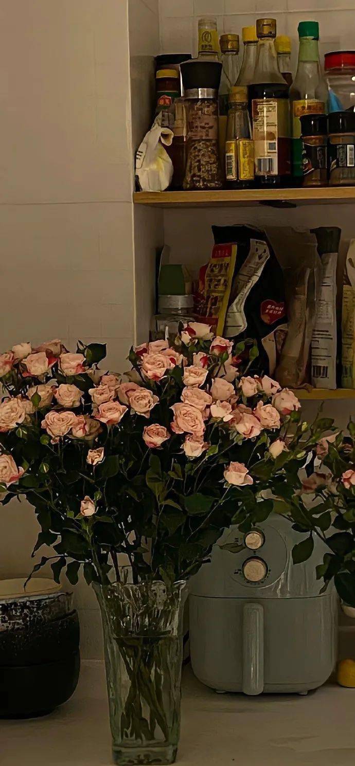 壁纸| 小众独特的全面屏壁纸