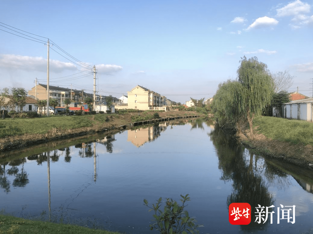 泰兴济川街道三六村:"眼耳腿"齐上阵 乡村治理展新姿_网格_村民_保