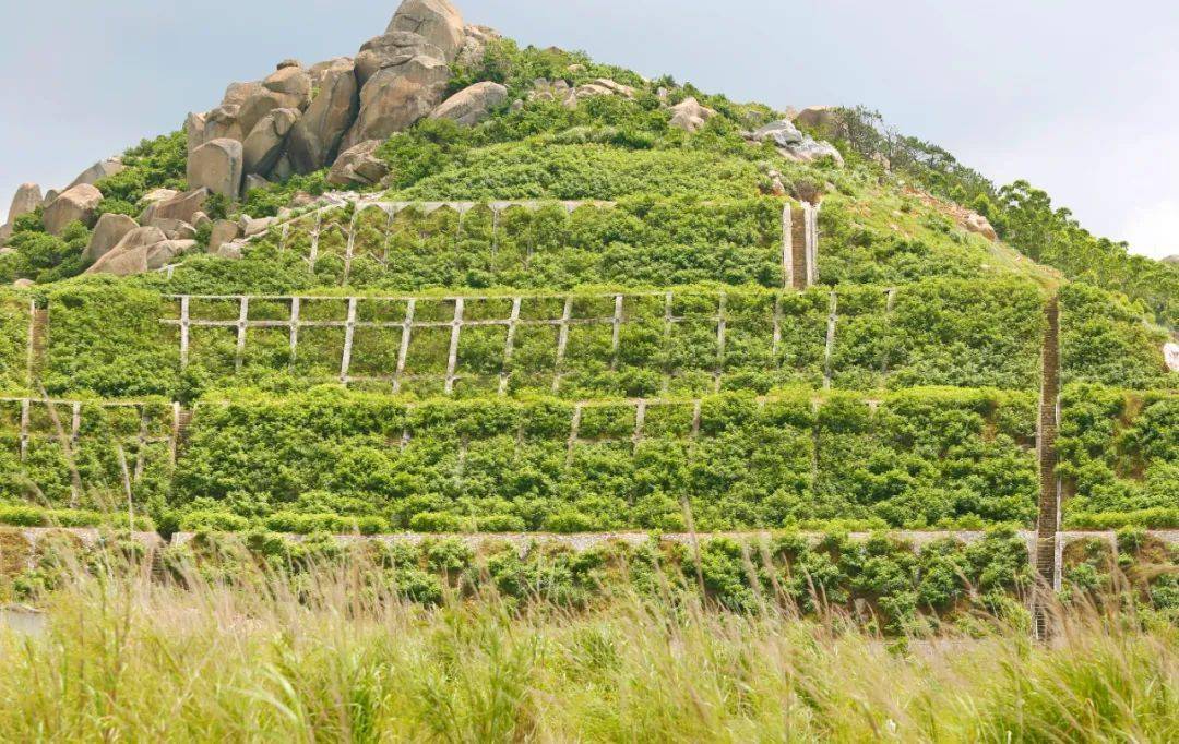 如今,经护坡工程复绿的山体郁郁葱葱黄金海岸▲ 曾经黄金海岸是一