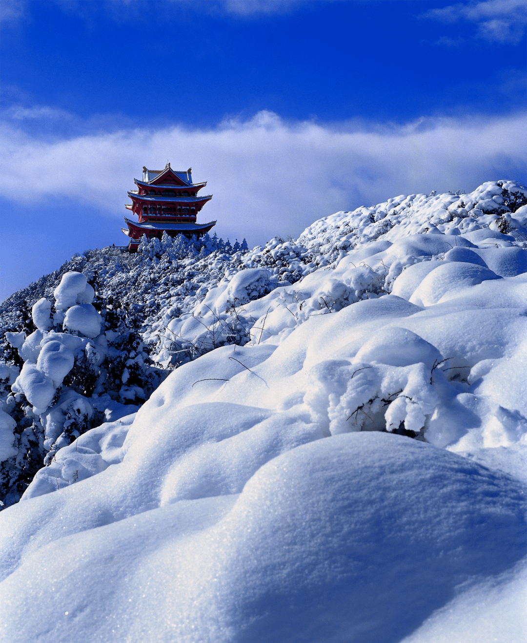在古诗词里,遇见最美的峨眉山雪景