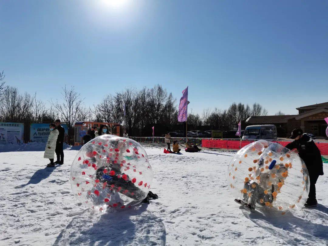 金沙岛"花开了"给你不一样的冬天……冰雪嘉年华开始迎客!