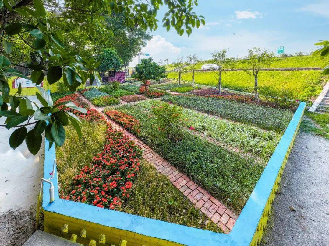 沙头北村颜值出圈,看看实力有多强_休闲_九江镇_一公园