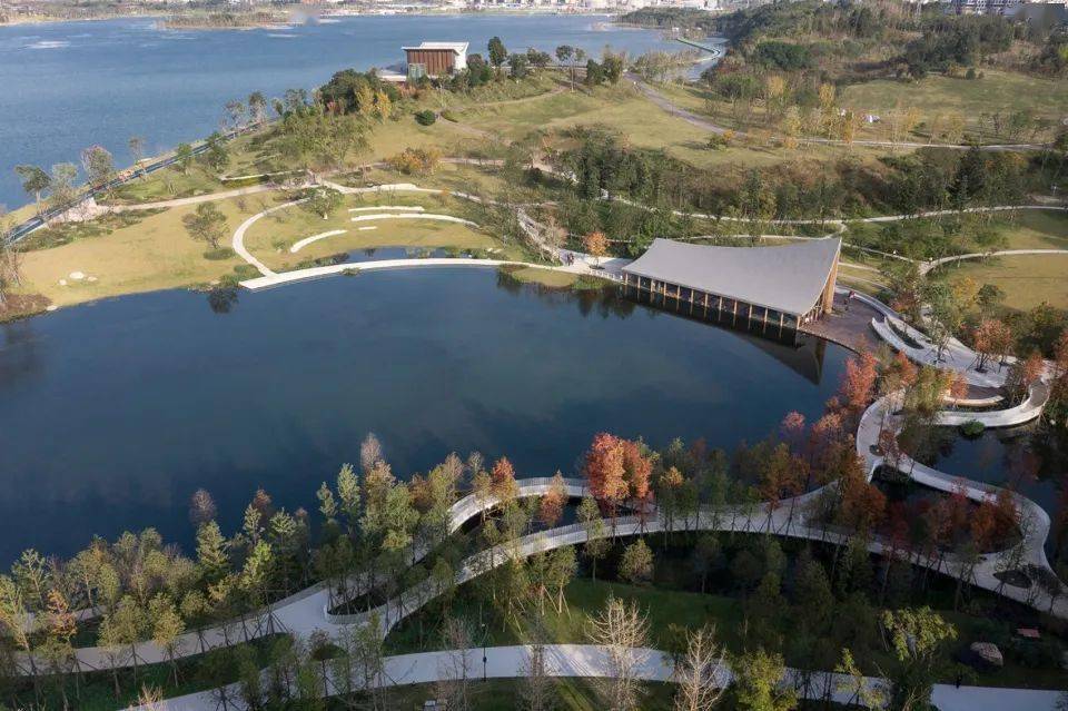 成都兴隆湖·湖畔森林图书馆:水清波滟,白桥穿林间_空间_景观_摄影