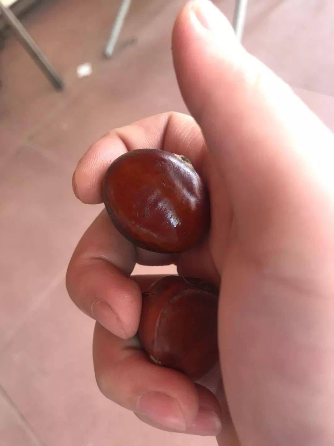 市场_栗子_效果