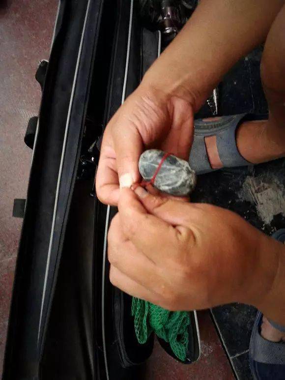 墙裂推荐（传统钓鱼方法图解）钓鱼初学者教程，(图4)