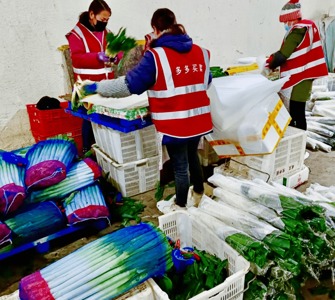 拼多多启动 "暖冬行动" 助力甘肃待销农产品打开线上销路_兰州_大葱