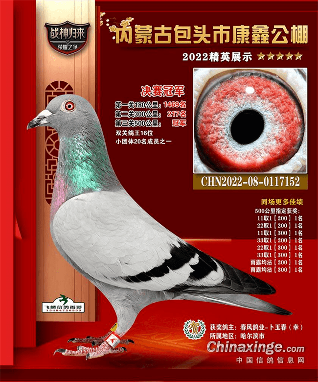 「盘点」严寒中领先亚军12分钟归巢 盘点内蒙的冬日战