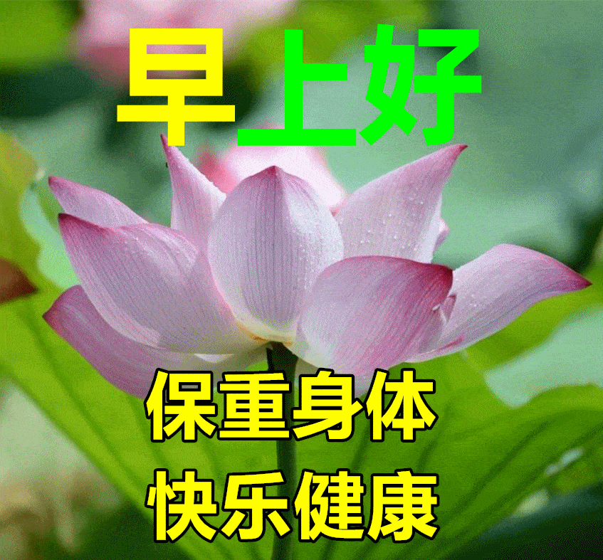 6712月24日冬日早上好动态表情图片大全,早晨好动图美图大全 67"