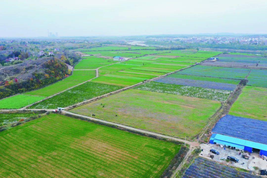 府河镇打造美丽小镇新画卷_建设_投资_项目