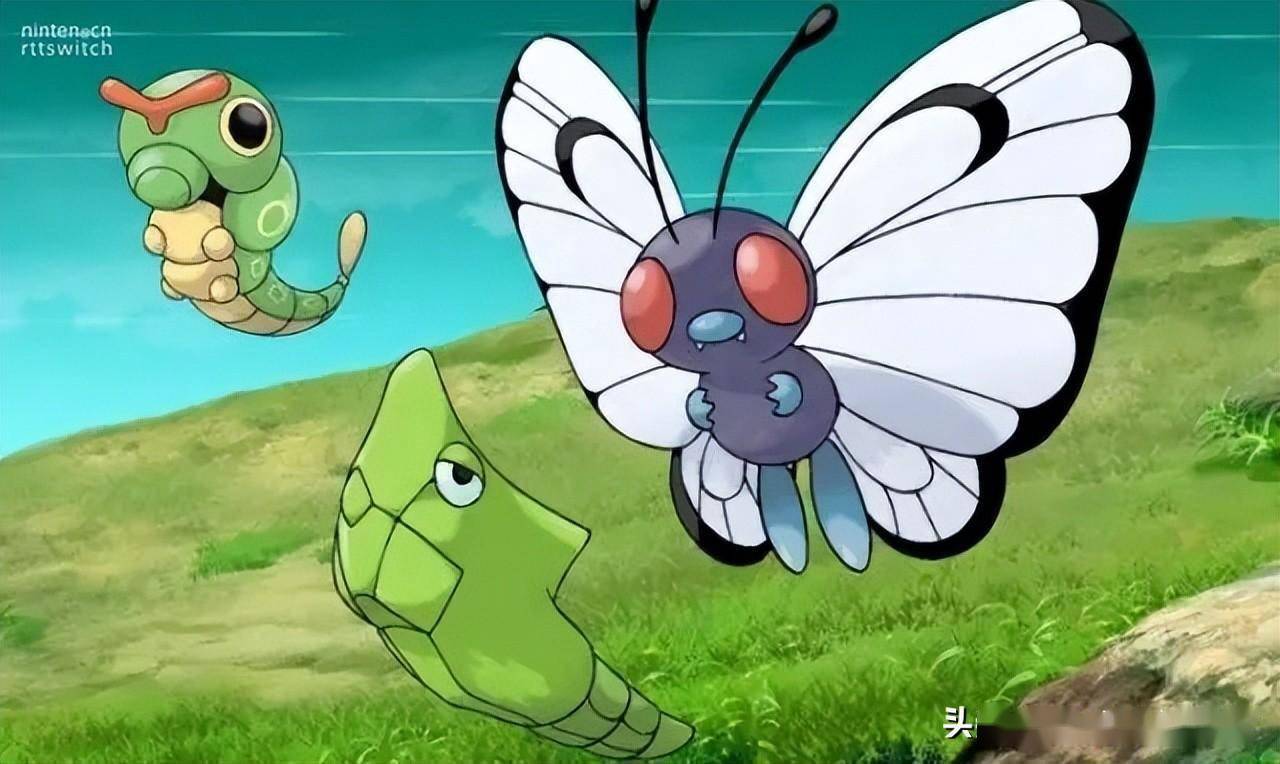 玩家仅用巴大蝶通关《宝可梦月》_游戏_用户_小智