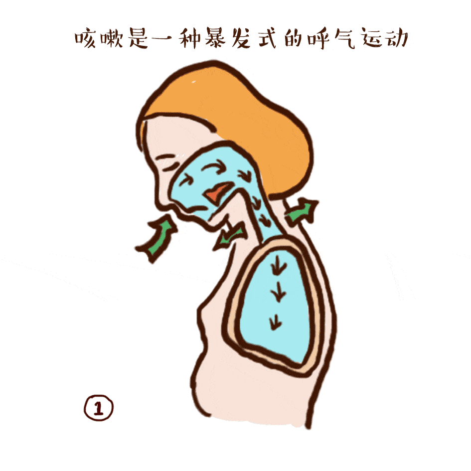 这套"用药攻略"请查收!