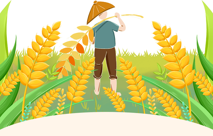 罗发新:玩转智慧农业的"新农人"_技术_种植_园区