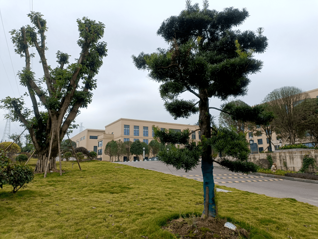 三峡监狱2022年十个关键词_工作_领导_服刑人员