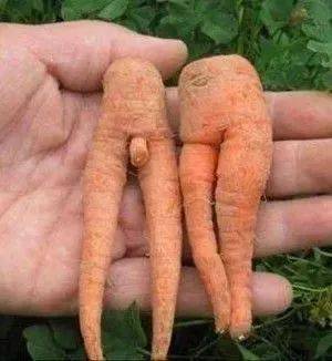 这些不正经的照片,专治不开心!