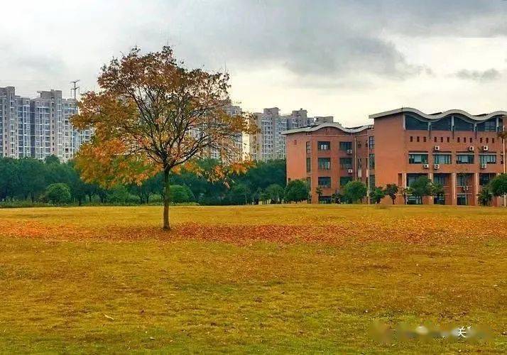 鄂东职业技术学院_鄂东职业技术学院_鄂东职业技术学院